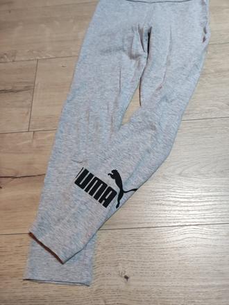 Legíny, puma,140