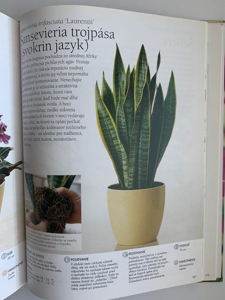 Paul williams - izbové rastliny, 