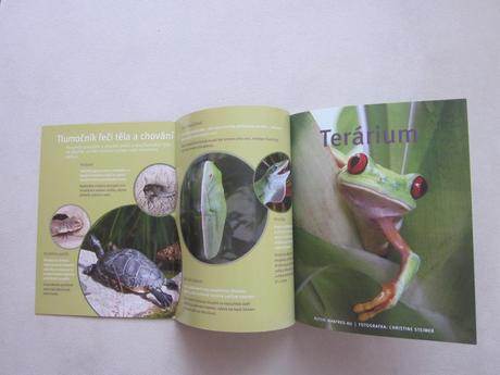 Kniha terárium pre začiatočníkov, 