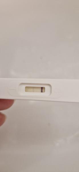 Ktorý tehotenský test je najspoľahlivejší?