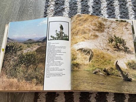 Lev nie je kráľom zvierat-prvé vyd.1981, 