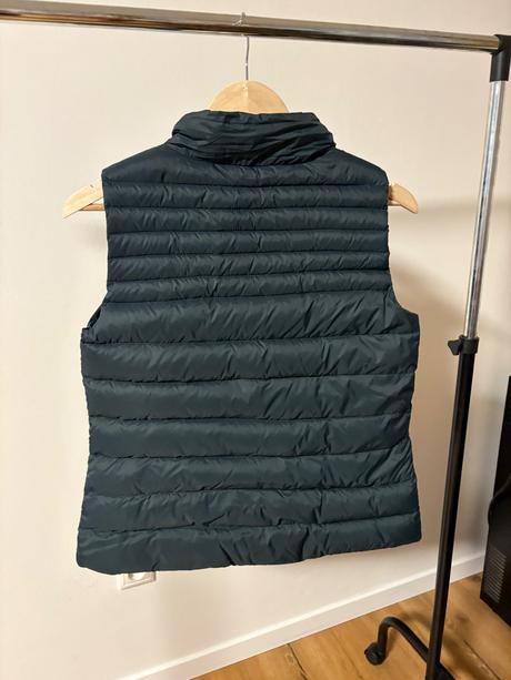 Vesta mango, mango,m