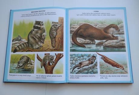 Nové obrázky zvierat, 