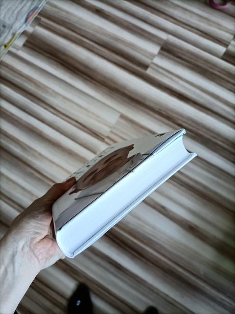 Kniha františek nádej, 