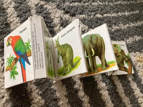 Kde bývajú zvieratká a zoo / leporelá,