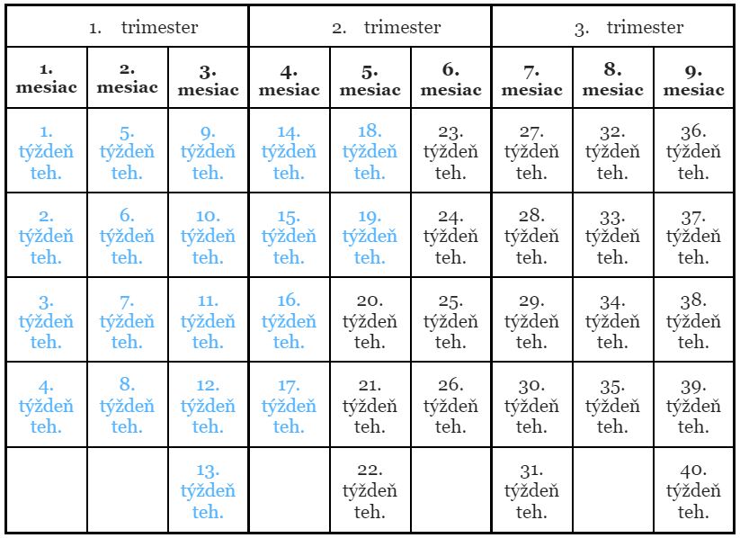 19. týždeň tehotenstva trimestre