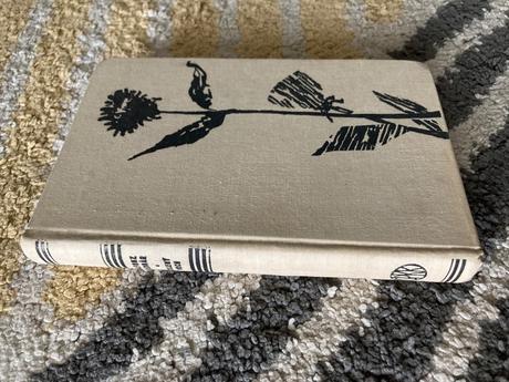 Alfonz bednár sklený vrch (1963), 