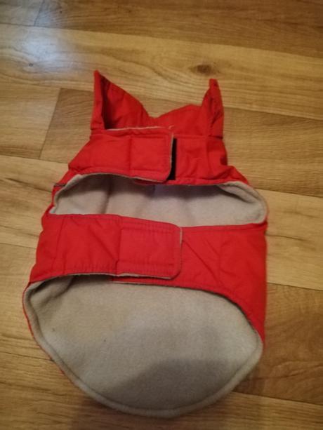 Oblečenie pre psov, 