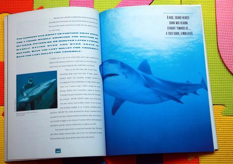 Shark man - kniha o žralokoch - p,