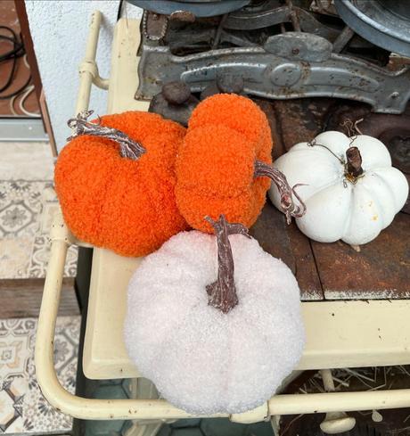 Dekoratívna tekvica väčšia,