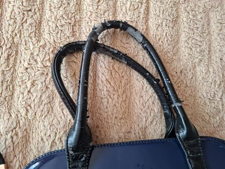 Kabelka gussaci, gussaci