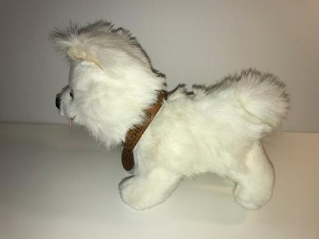 Biely psík - realistický vzhľad - sam,