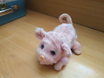 Prasiatko - vydávajúce zvuky,