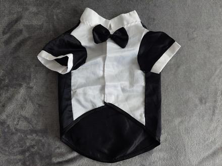 Smoking pre psíka na malú rasu,