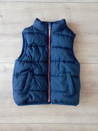 Vesta mango, mango,104