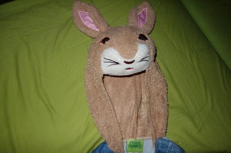 Karnevalovy kostym peter rabbit,