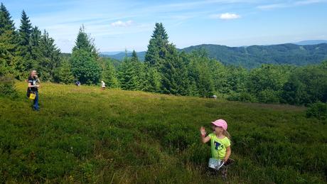 Šiltovka, reserved,98