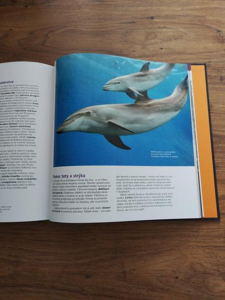 Skrytá tvar prirody, 