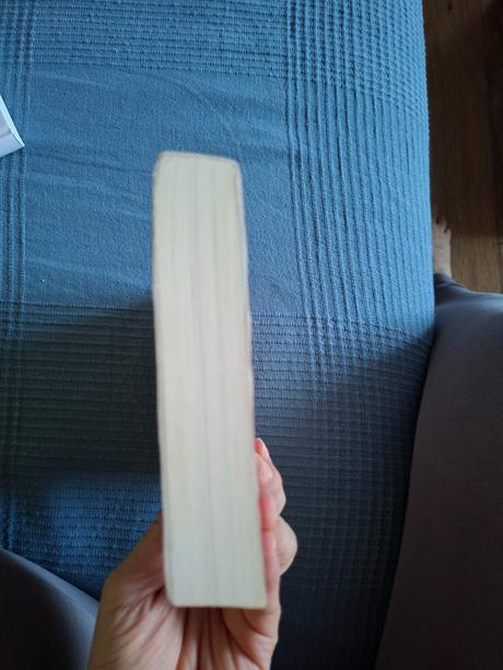 Pravidlá pravej princeznej  philippa gregory, 