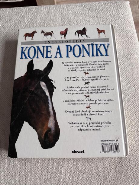 Kone a poniky, 