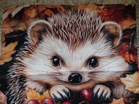 Obliečka na vankúš 45x45cm, šírka (cm): 45,dĺžka (cm): 40