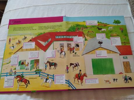 Okienková knižka o koníkoch, 