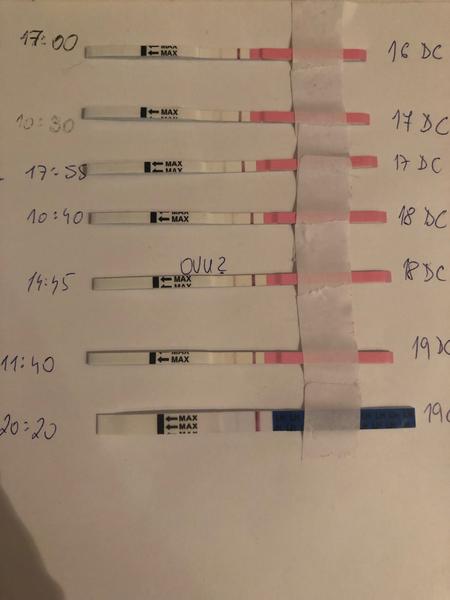 Môžem mať zablokovanú ovuláciu po Duphastone?