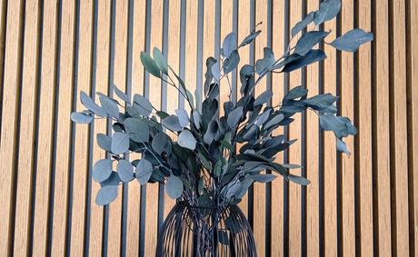 Stabilizovaný eukalyptus - 55 cm, 