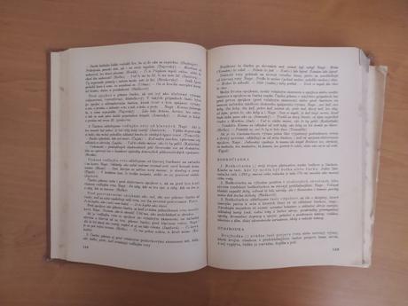 Príručka slovenského pravopisu (1976), 