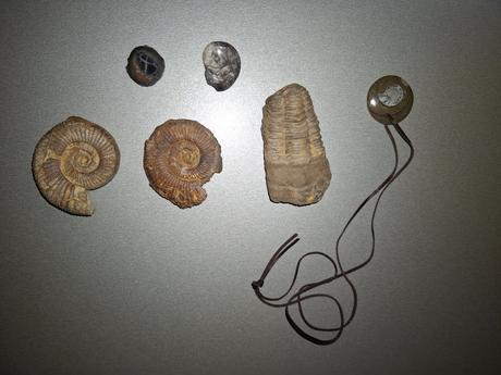 Skameneliny mix, 