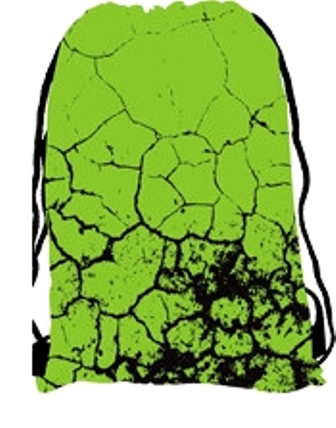 Vak na prezuvky zo supravy dinosaurus,