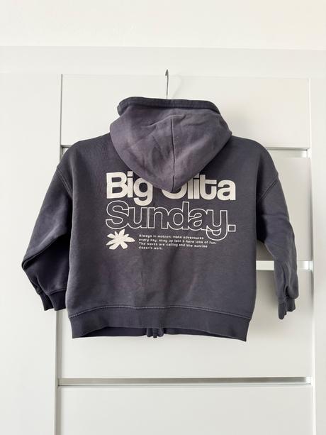 Mikinka zara, zara,104