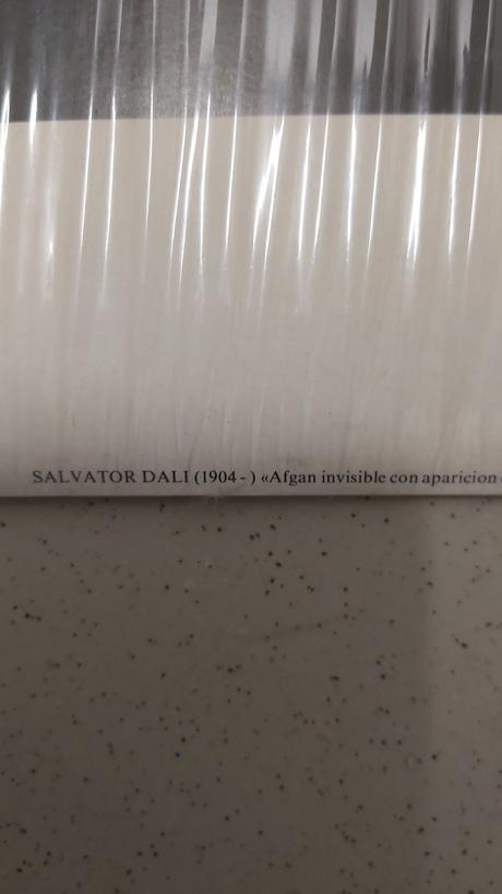 Obraz salvator dalí foto na kartóne 80x60cm, 