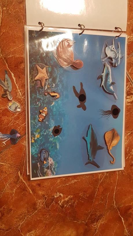 Triedenie zvierat podla prostredia, 