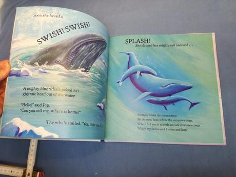 Where is home, little pip au18,