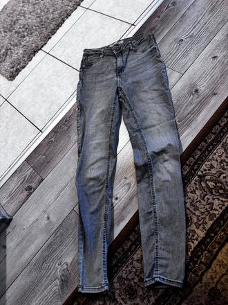 Sivé rifle, amisu,s