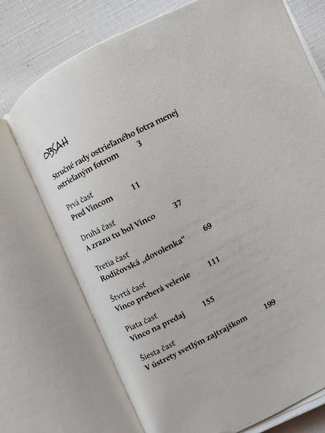 Denník moderného fotra - dominik landsman,