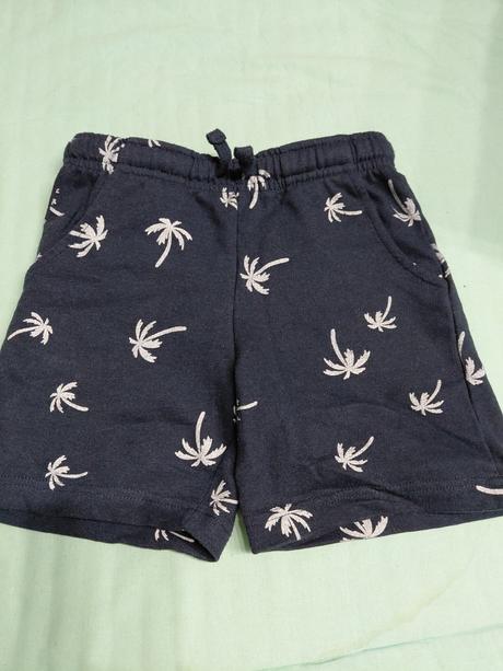 Kratase -palmy ii., sinsay,122