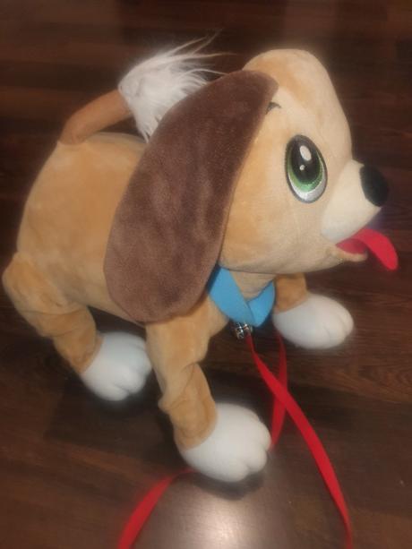 Floppy pes - osobny odber, 