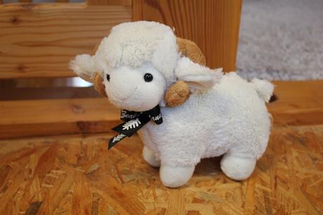 Plyšové hračky - výpredaj,