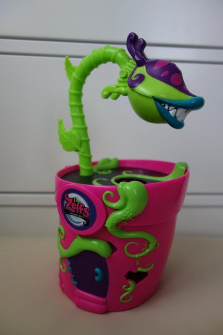 Zelfs - kaderníctvo v kvetináči,