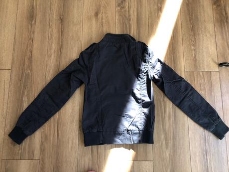 Bunda st. bernard, st. bernard,146