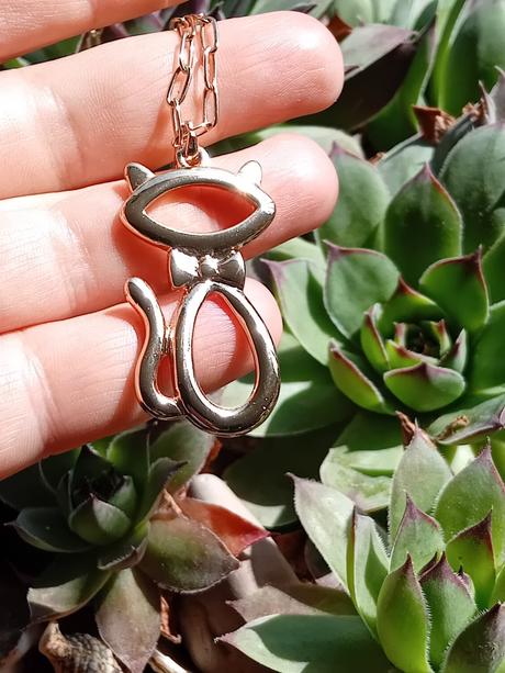 Dlhá retiazka s mačkou, 