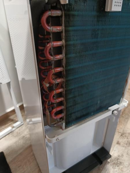 Skúsenosti s odvlhčovačom značky Concept: Ako riešiť kontamináciu?