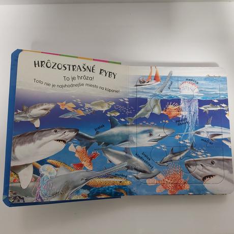Knihy s puzzle, 