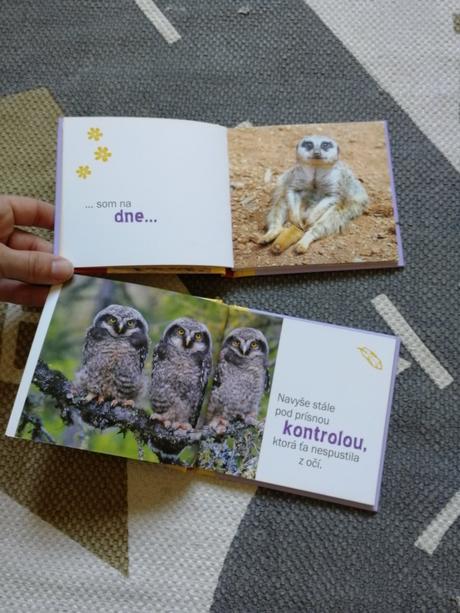 Povzbudivé knižky, 