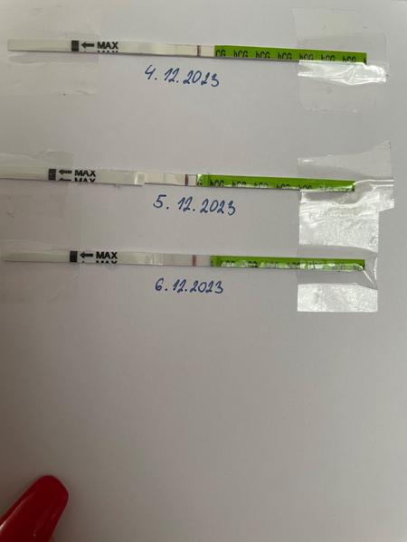 Aké sú vaše skúsenosti s testovaním tehotenstva?