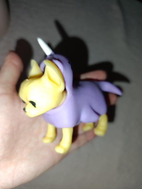 Čivava v oblečení,