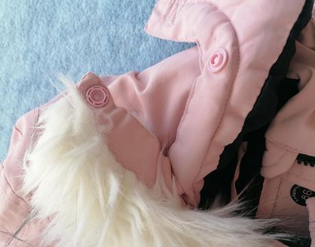 Bundička s kozusinkou, reserved,86