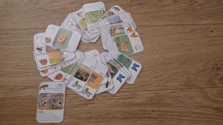 Kartove montessori aktivity, 